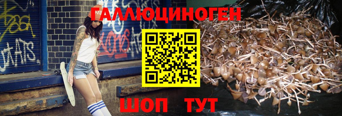 NBOMe  Экстази  Меф МЯУ МЯУ   МАРИХУАНА  ГАШ  Зеленодольск  Канабис  Вход с VPN 